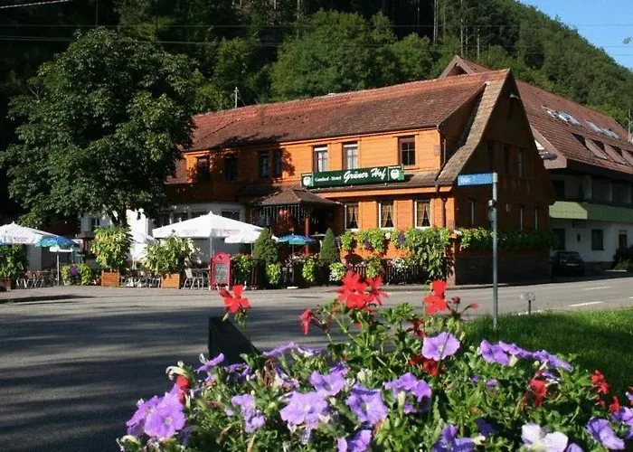 Hotel Grüner Hof Zell am Harmersbach