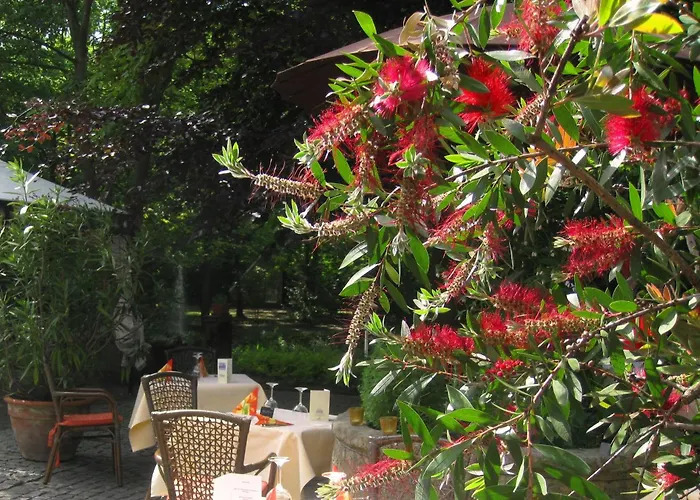Landidyll Wilminks Parkhotel Neuenkirchen 