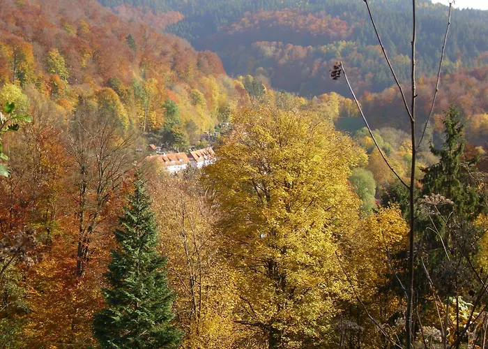 Naturkost-Hotel Harz Bad Grund