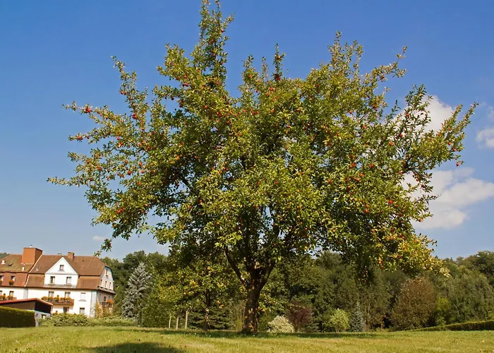 Hotel Jägerhof