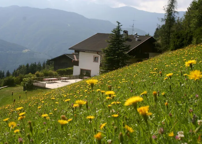 Biogasthaus Plonerhof "Sweet Dolomites View"