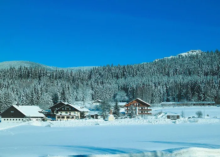 Wellness- und Vitalhotel Böhmhof