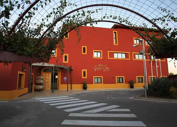 Hotel Château Viñasoro