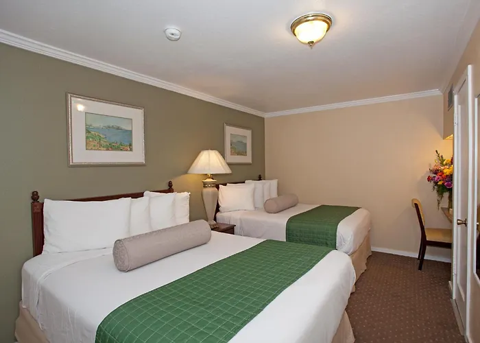 Traveler'S Inn Williams, Ca Modern Renovated