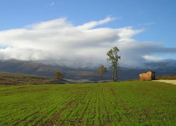 Molino De La Ferrería