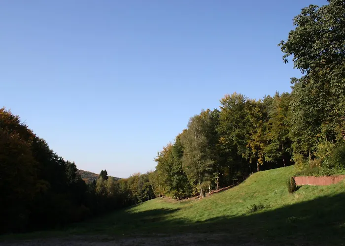 Wald-Hotel Heppe Dammbach