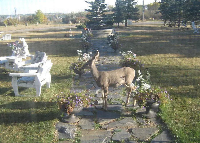 Wakamow Heights Bed And Breakfast