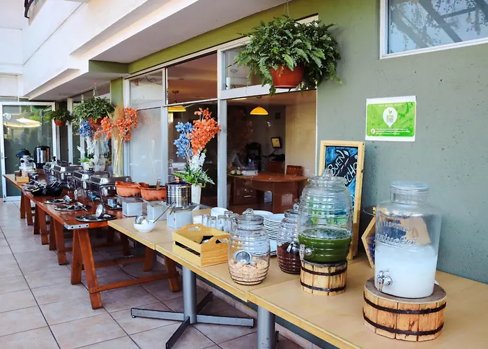 Hoteles que admiten perros en Cuernavaca 