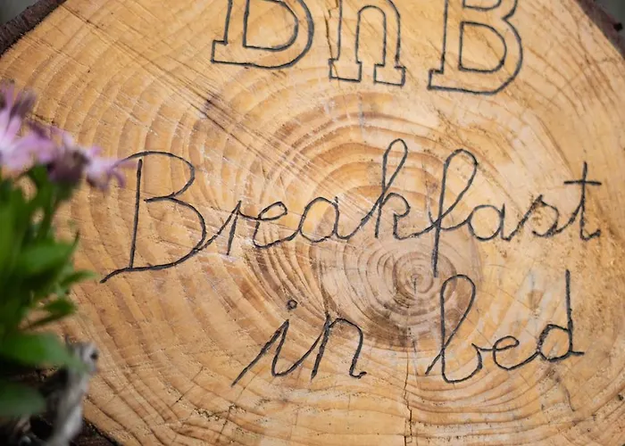 Breakfast in bed
