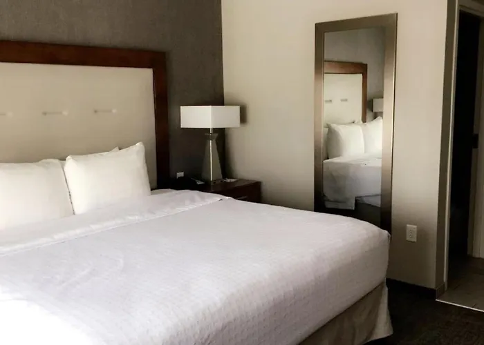 Homewood Suites By Hilton Syracuse - Carrier Circle