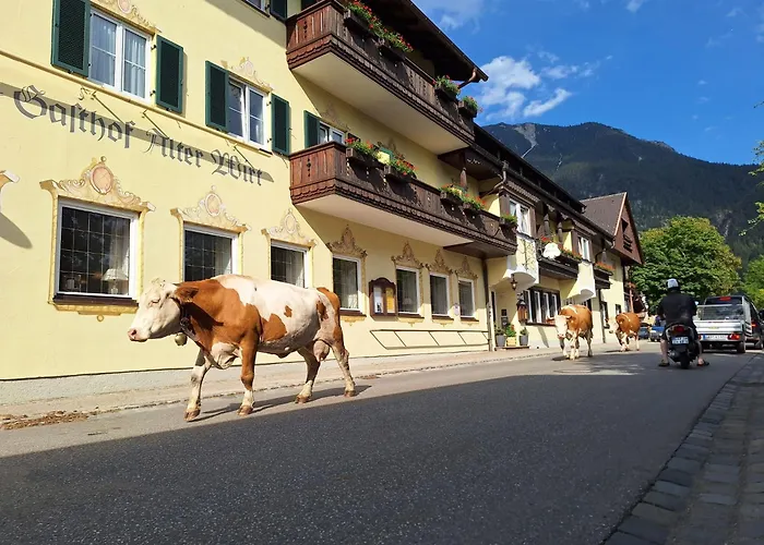 Hotel Gasthof Alter Wirt