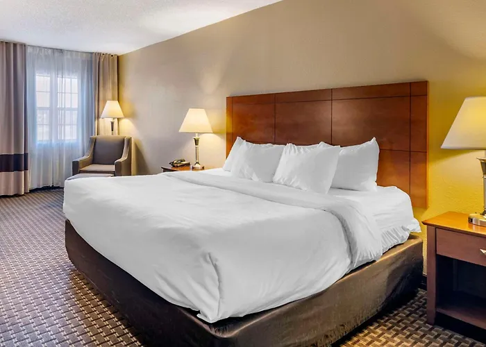 Comfort Inn & Suites Raphine - Lexington Near I-81 And I-64