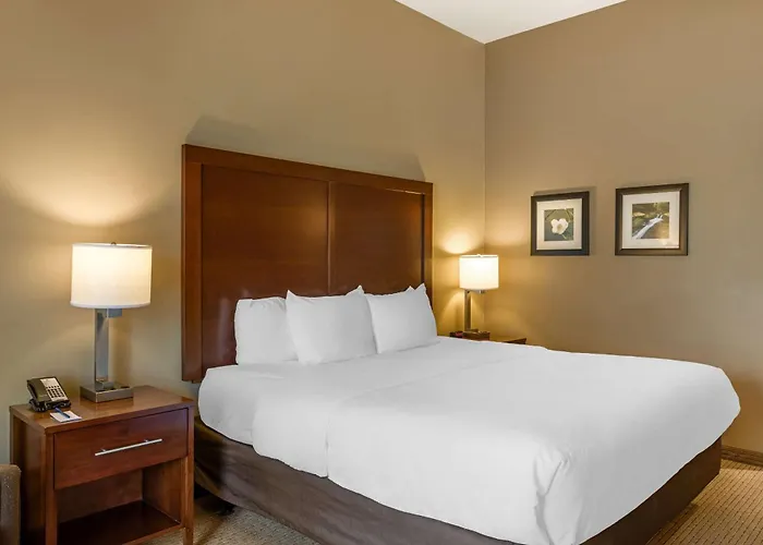Comfort Inn & Suites At Crossplex Village