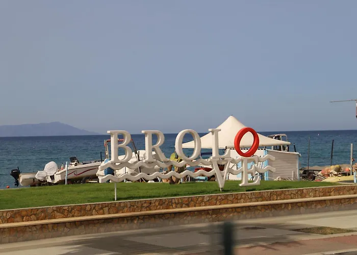 La Cicala