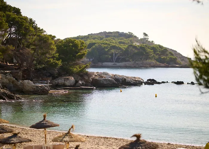 Hotel Aluasoul Carolina - Adults Only Font de sa Cala