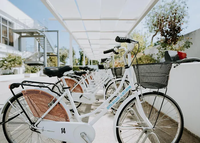 Hotel Holiday Vasto