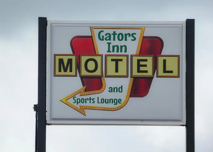 Gators Inn On The Bayou