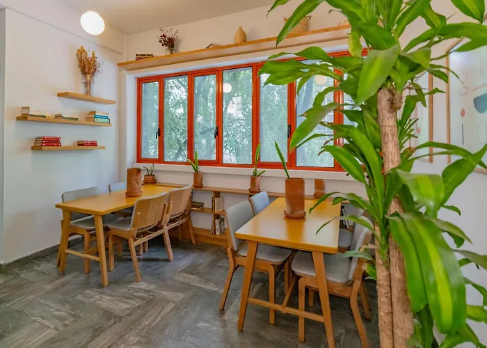 La Campechana In The Heart Of Roma And Condesa