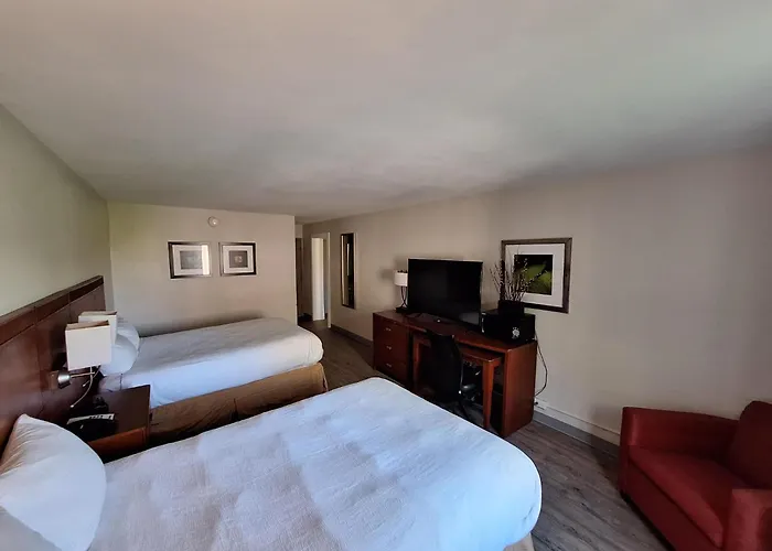 Orange Dog Friendly Hotels