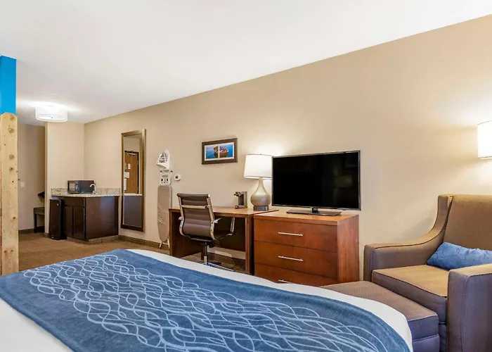 Comfort & Suites Ludington Near Us-10
