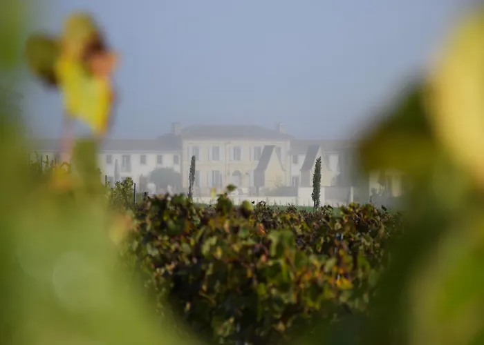 Hôtel Château Fage - Teritoria - Saint-Émilion Arveyres