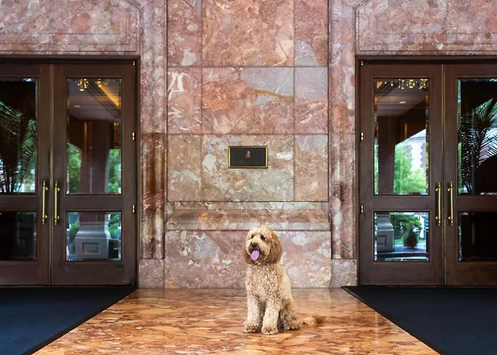 Ritz-Carlton, St. Louis