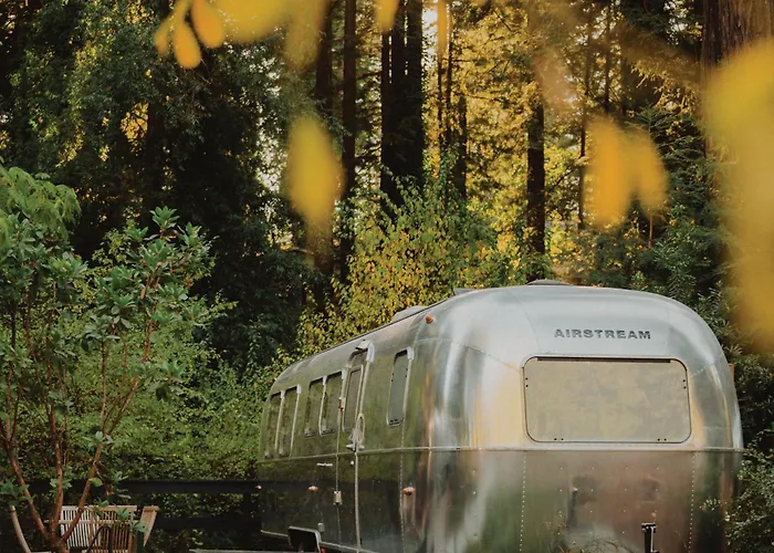 Autocamp Sonoma