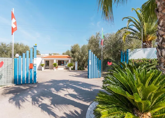 Palme Gemelle