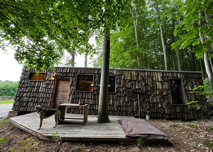 Baumhaushotel Robins Nest Witzenhausen