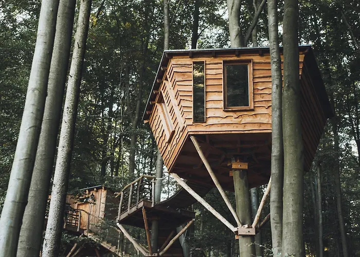 Baumhaushotel Robins Nest