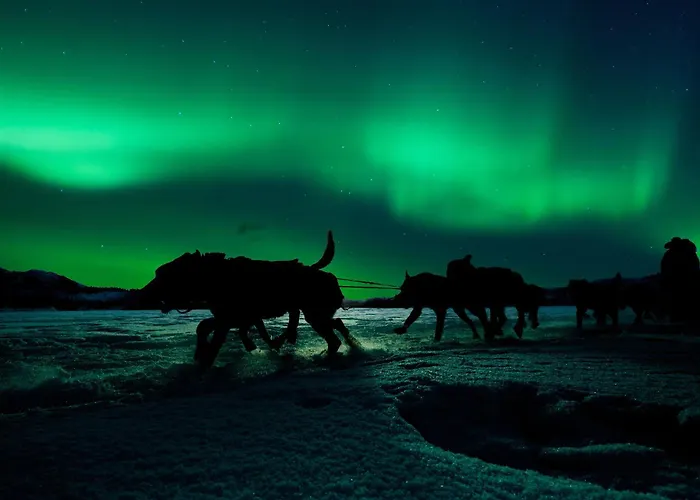 Camp Ripan Hotel Kiruna