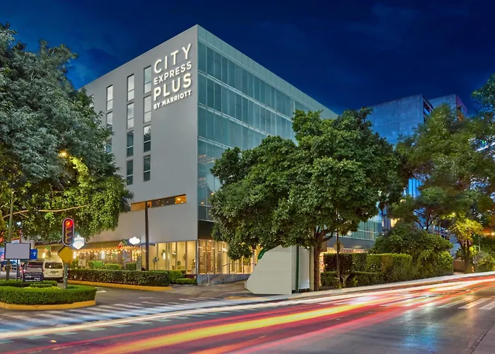 City Express Plus By Marriott Ciudad De Mexico Insurgentes Sur