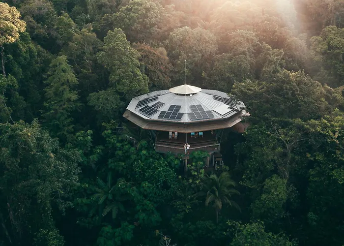 La Loma Jungle Lodge And Chocolate Farm