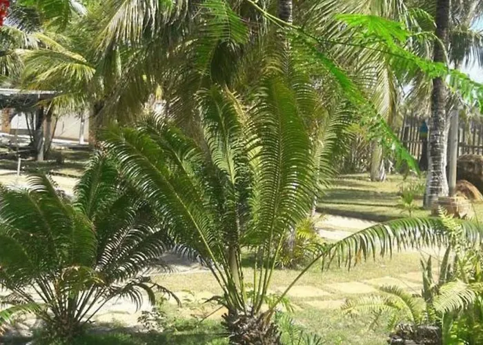 Hotéis que aceitam cães de Conde (Bahia)