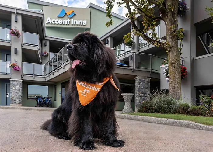 Accent Inns Kamloops
