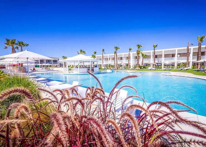Marelive - Cdshotels