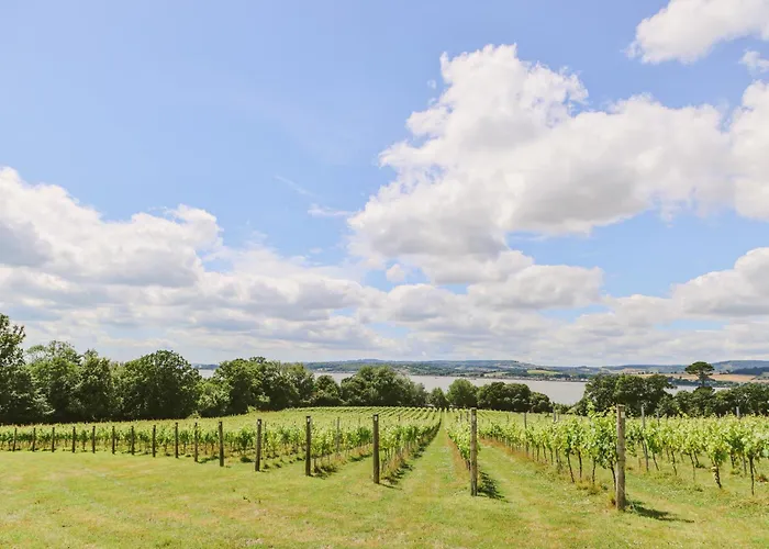 Exmouth Dog Friendly Hotels