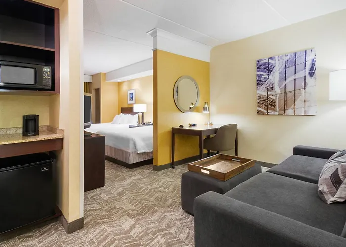 Springhill Suites By Marriott Wheeling Triadelphia Area