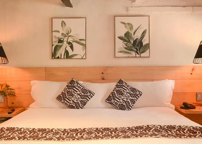 Petit Mesón (Pet Friendly Hotel)