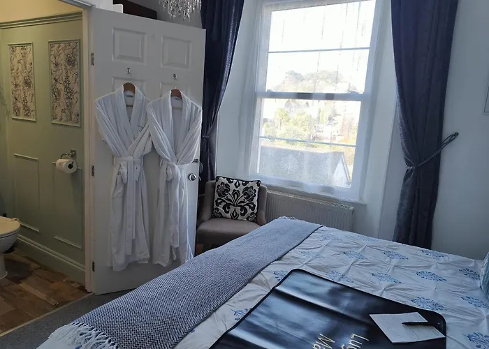Hondvriendelijke hotels in Torquay