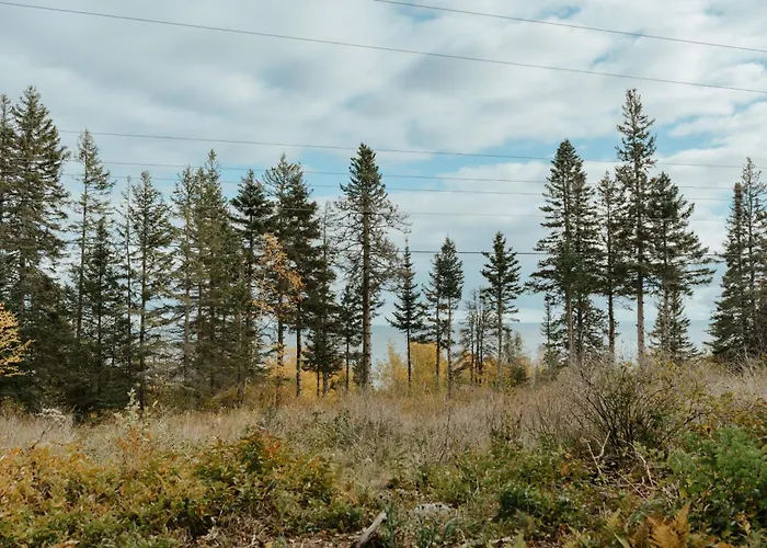 Tofte Trails