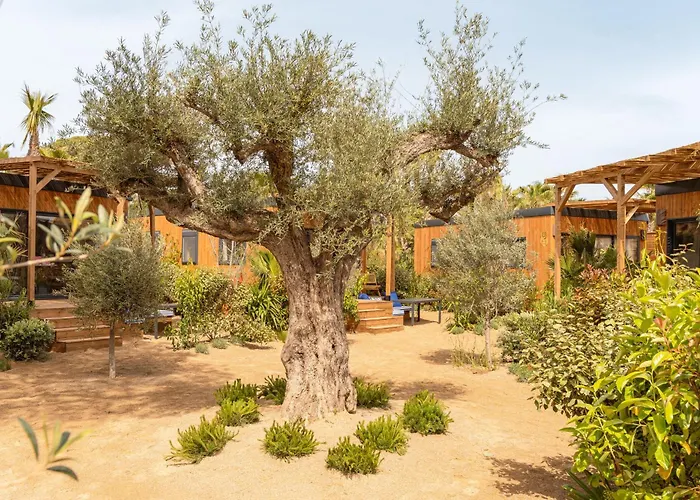 Hotel Toison D'or à Ramatuelle
