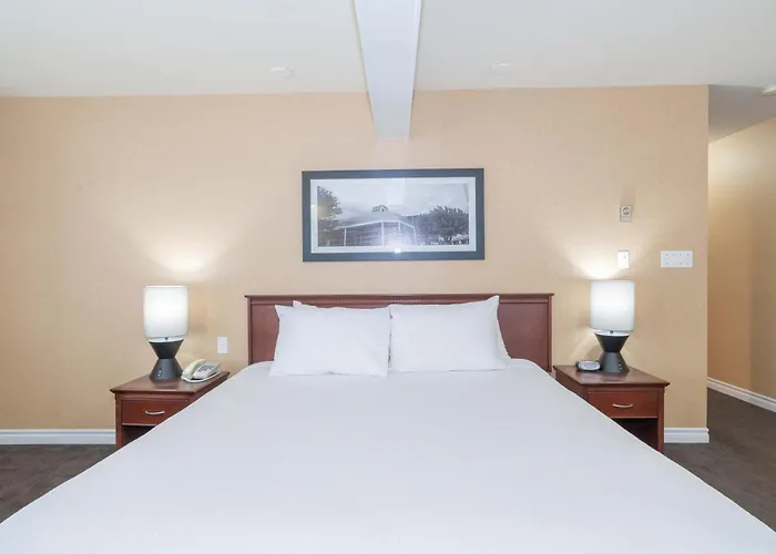 Castlegar Dog Friendly Hotels