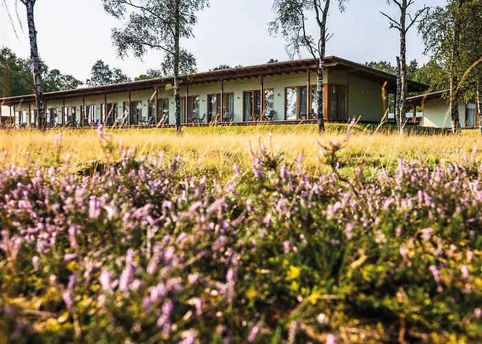 Hotelcamp Reinsehlen Schneverdingen