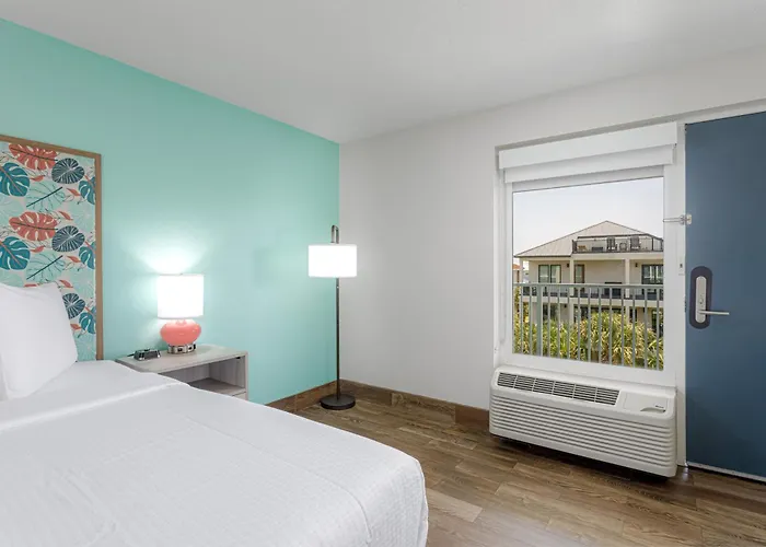 Perdido Key Dog Friendly Hotels