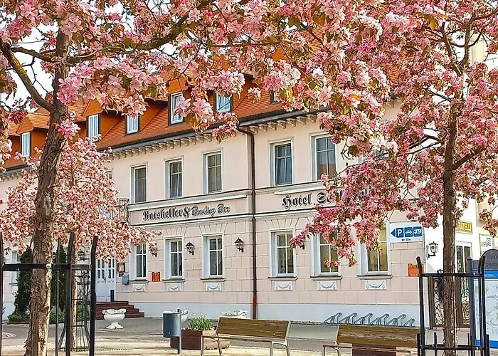 Hotel Schloßblick Trebsen