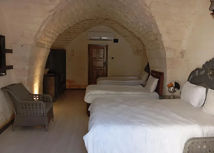 Aslan Guest House