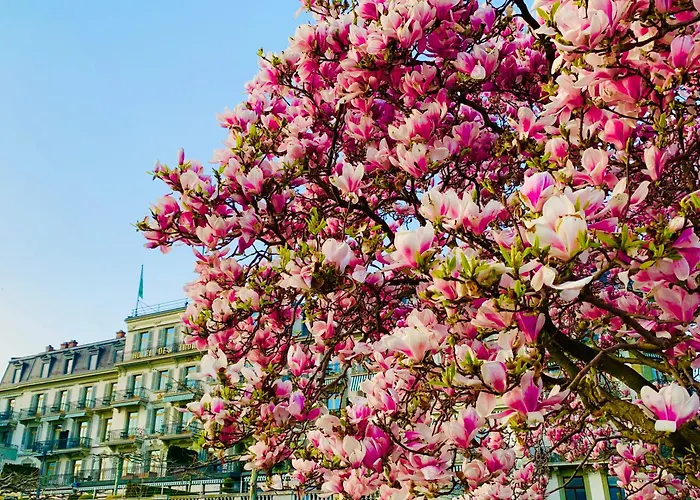 Hotel Des Trois Couronnes & Spa - The Leading Hotels Of The World
