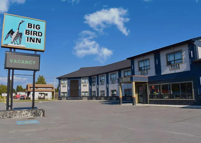 Wawa Dog Friendly Hotels