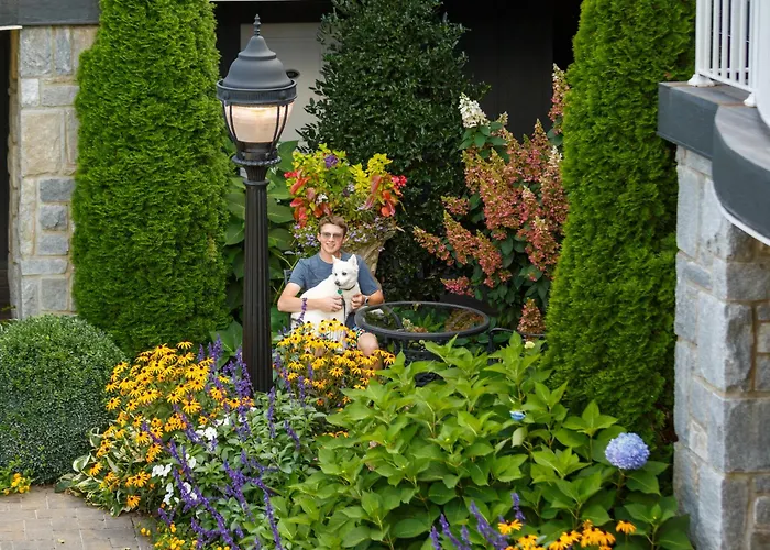 The Park On Main Hotel Highlands